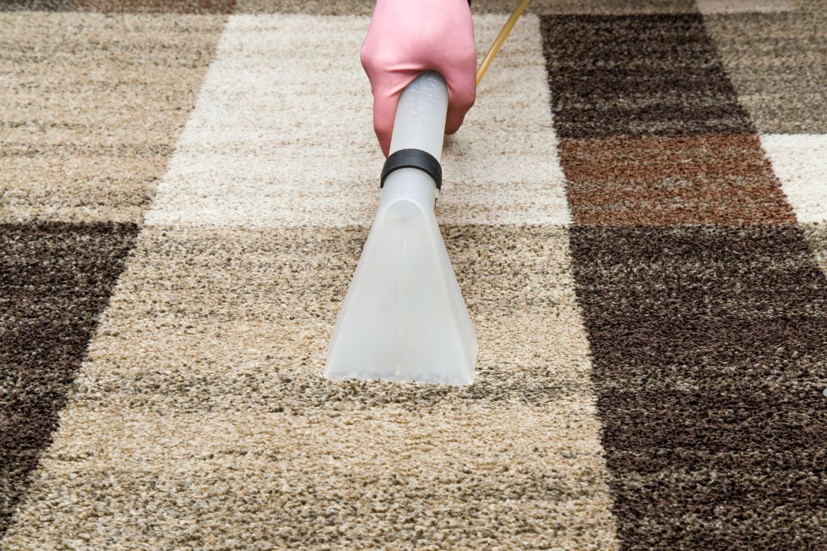 A person using a vacuum cleaner to clean a carpet, demonstrating effective carpet cleaning techniques.